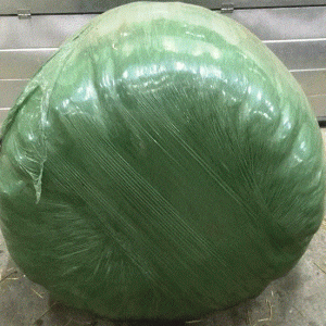Græs i wrap kr,/kg