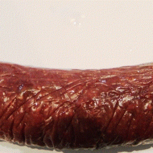 Hjorte pølse kr.pr.kg