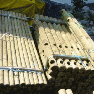 Pæl galvaniseret 3 m 6 huller spids