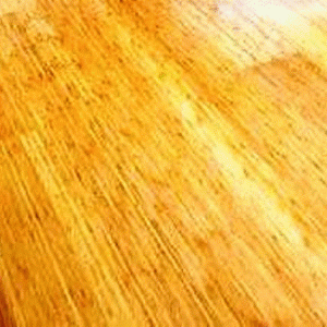 Bamboo gulv brædde