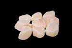 Kammuslinger u/rogn 1/2 cm kr./kg.