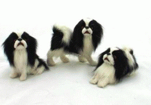 Hunde 3 stk Sort/Hvide
