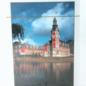 Spillekort Hvedholm Slot