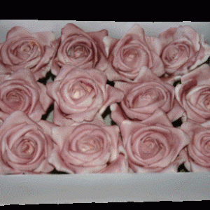 Dekorations Rose Ø6 - Creme el rosa