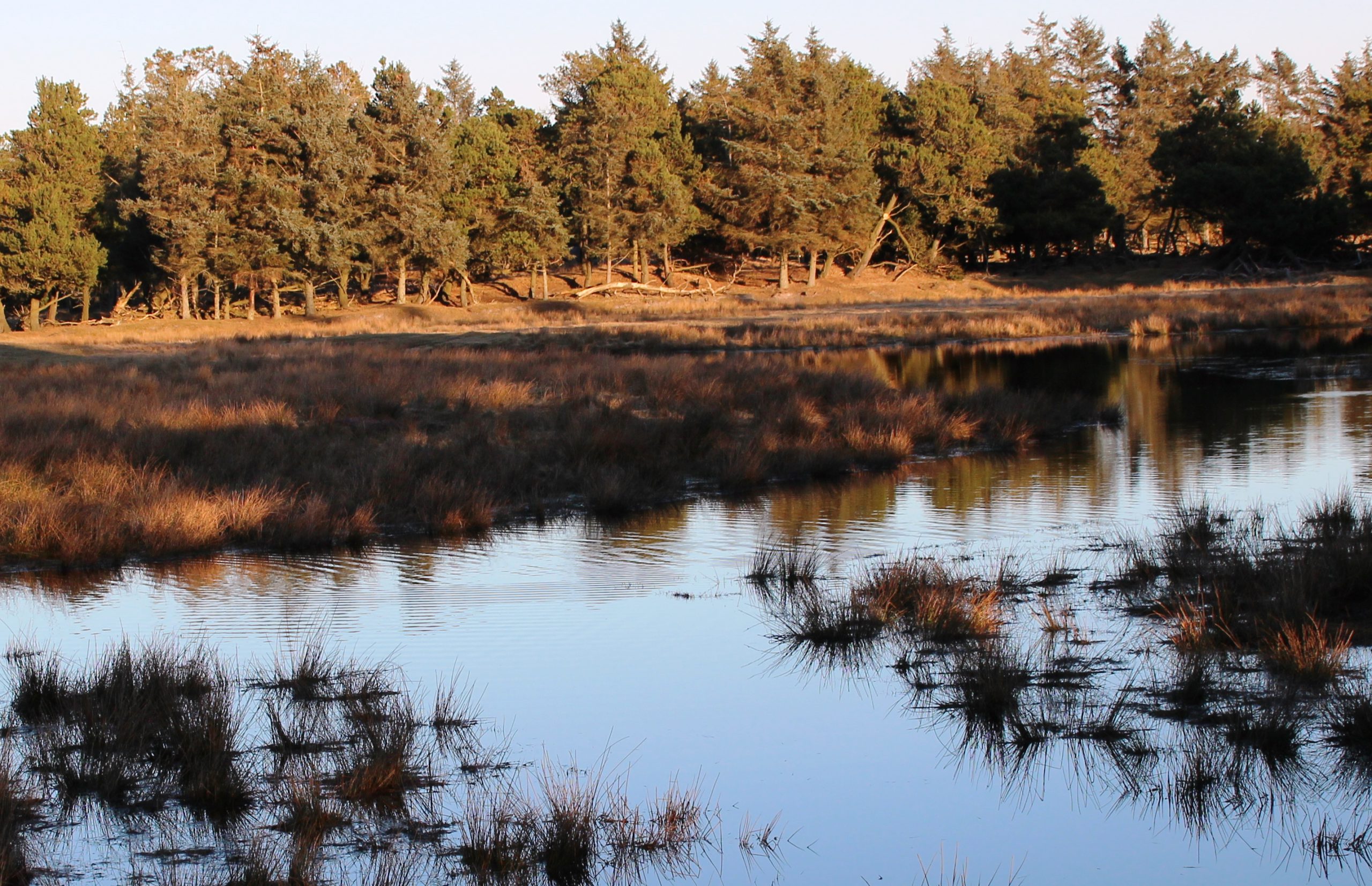 Guidet tur i naturreservatet