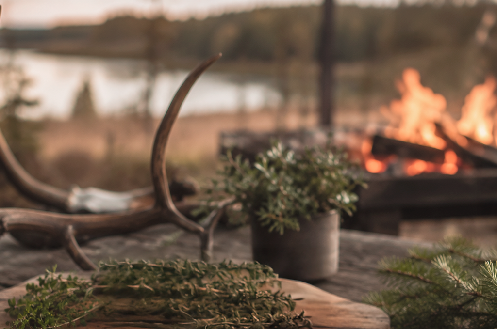 Gastronomi og natur på Røgegaard